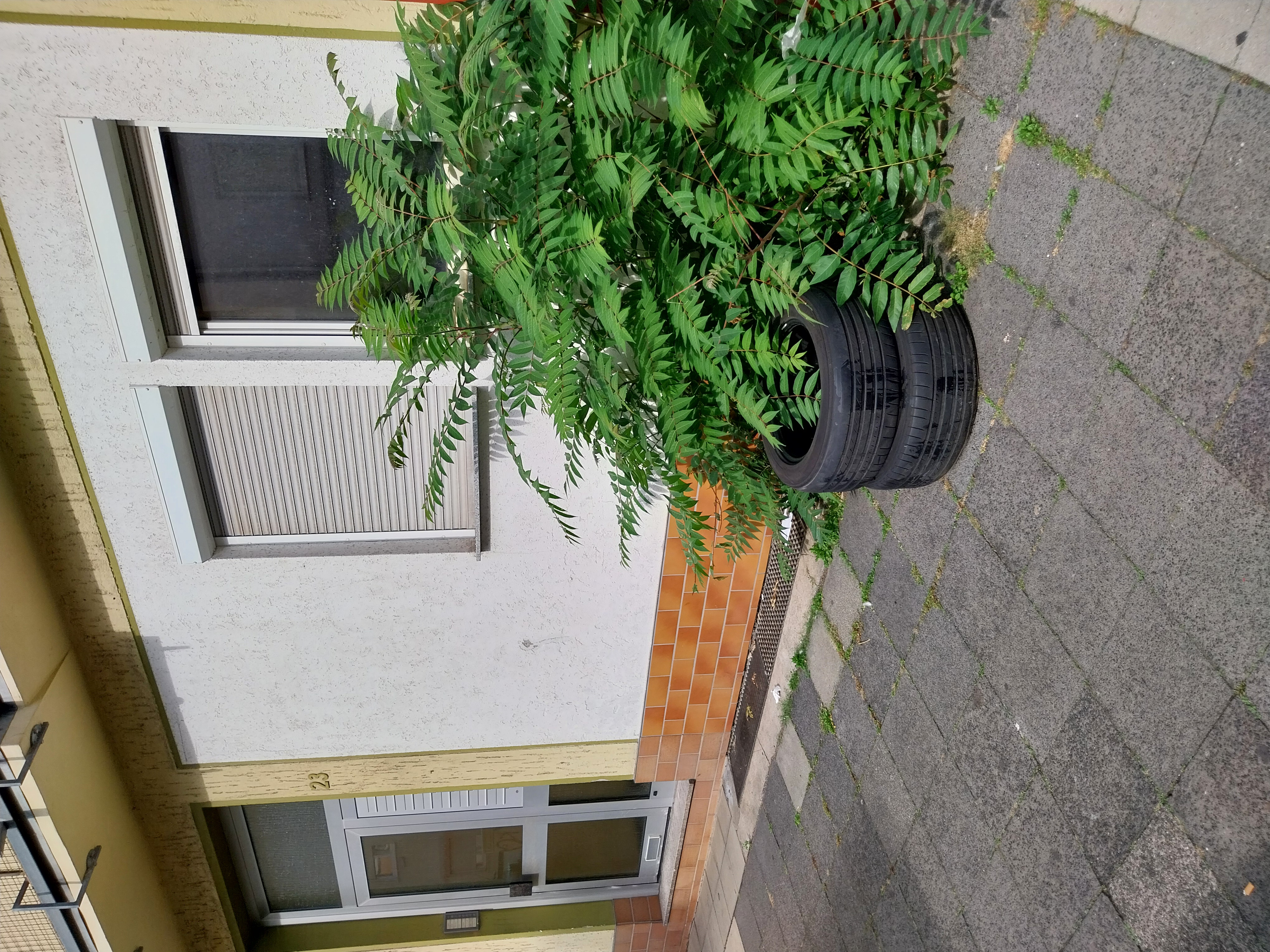 Open311 file from 2026-09-28 12:41:23