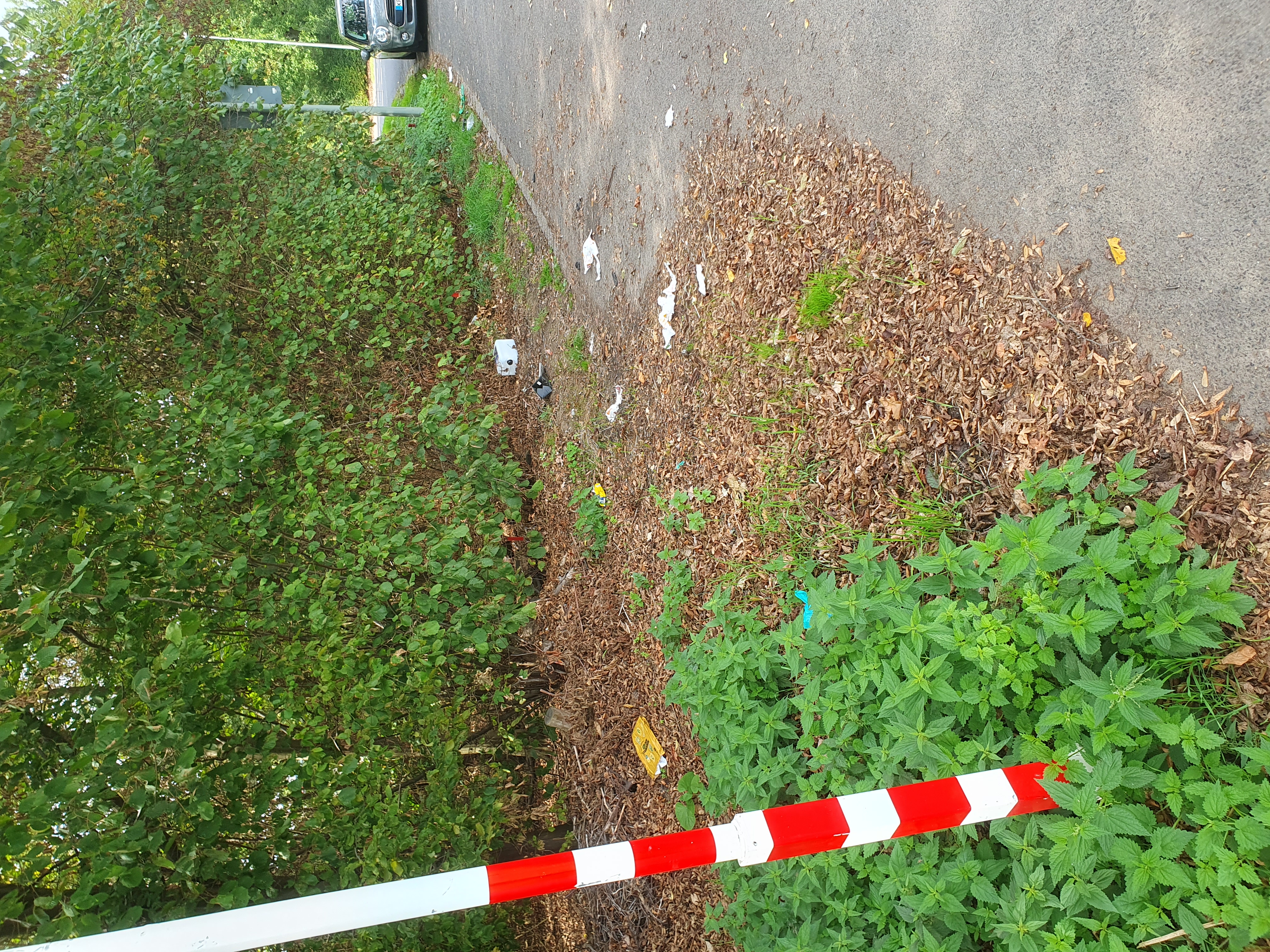 Open311 file from 2026-09-12 14:28:43