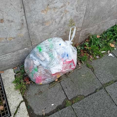 Open311 file from 2025-11-20 13:43:04