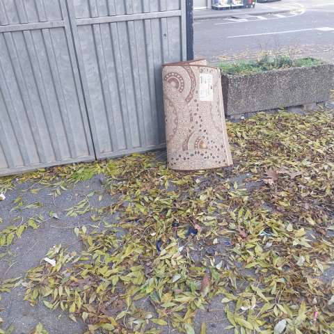 Open311 file from 2025-11-05 11:08:59