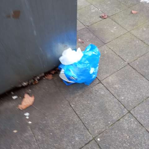 Open311 file from 2025-11-06 14:33:52