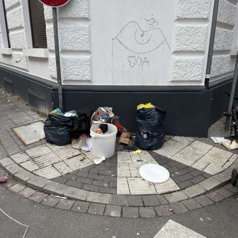 Open311 file from 2025-11-20 15:22:04