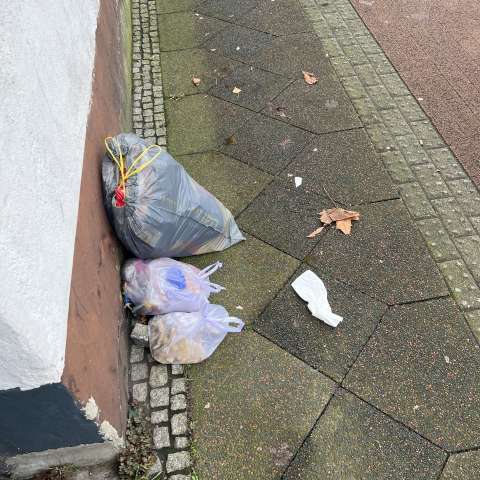 Open311 file from 2025-12-10 14:34:23