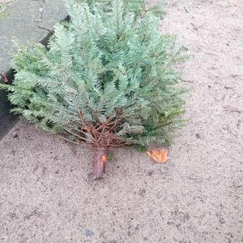 Open311 file from 2026-01-29 14:19:35