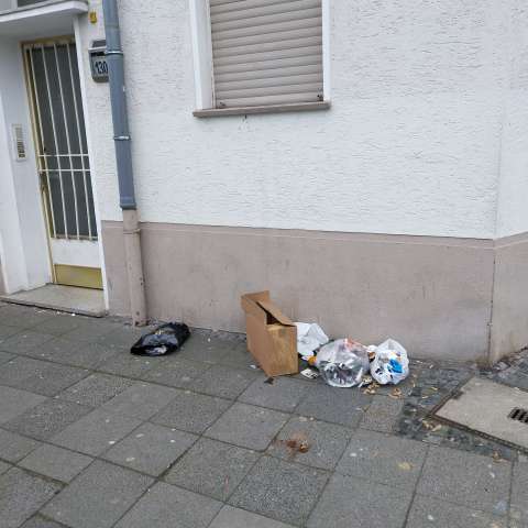 Open311 file from 2026-01-26 12:02:12