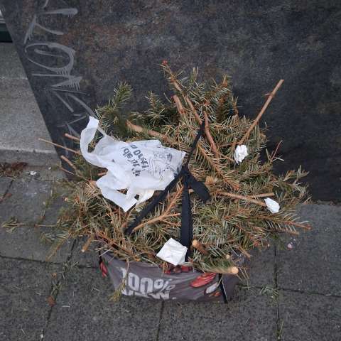 Open311 file from 2026-01-21 08:21:23