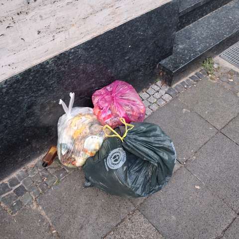 Open311 file from 2026-01-21 08:43:39