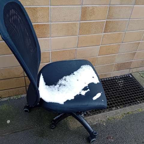 Open311 file from 2026-02-19 14:05:02