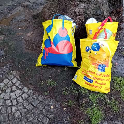 Open311 file from 2026-02-19 15:13:50