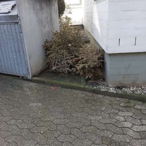 Open311 file from 2026-02-25 12:36:06