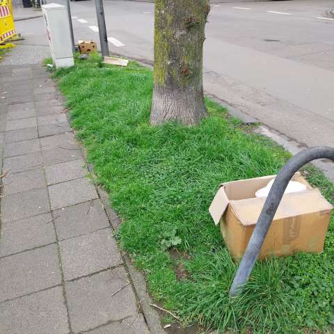 Open311 file from 2026-03-17 11:50:03