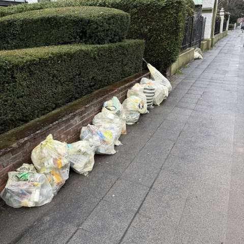 Open311 file from 2026-03-13 14:38:28