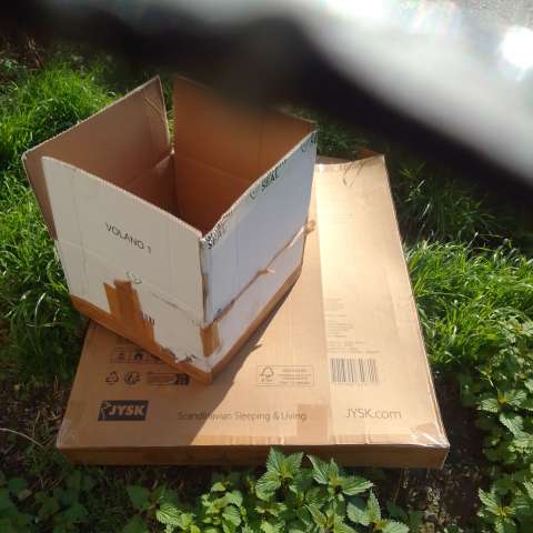 Open311 file from 2026-03-19 10:05:45