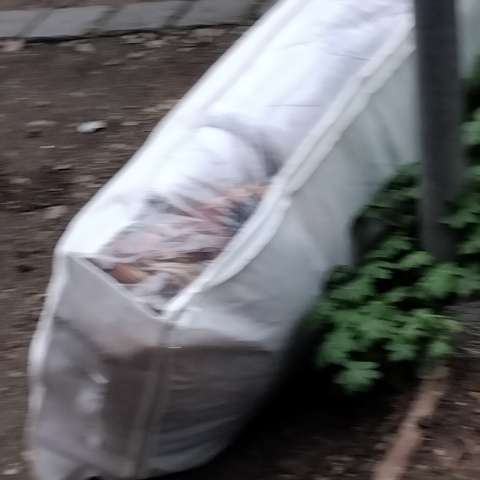 Open311 file from 2026-04-02 10:18:04