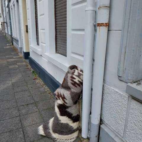 Open311 file from 2026-09-08 10:28:25