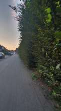 Open311 file from 2022-08-25 11:50:43