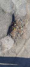 Open311 file from 2022-11-02 17:06:39
