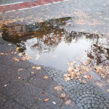 Open311 file from 2022-11-28 12:33:09