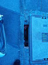 Open311 file from 2023-01-18 09:04:34