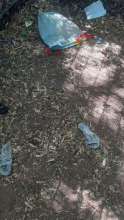 Open311 file from 2025-05-13 13:45:16