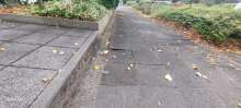 Open311 file from 2025-09-08 16:53:00