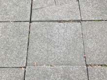 Open311 file from 2025-09-22 13:30:47