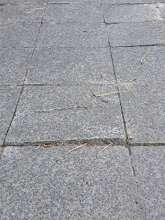 Open311 file from 2025-09-20 12:31:08