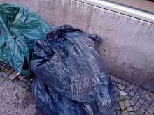 Open311 file from 2025-11-20 08:00:36