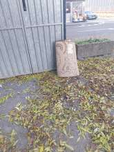 Open311 file from 2025-11-05 11:08:59