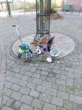 Open311 file from 2025-11-20 12:44:10