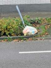 Open311 file from 2025-11-03 14:57:21