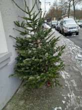 Open311 file from 2026-01-08 13:18:08