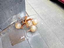 Open311 file from 2026-02-23 13:37:46