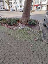 Open311 file from 2026-02-09 12:16:52