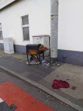 Open311 file from 2026-03-11 08:51:04