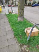 Open311 file from 2026-03-17 11:50:03