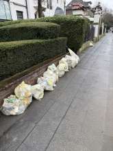 Open311 file from 2026-03-13 14:38:28