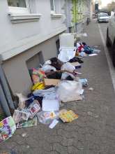 Open311 file from 2026-03-09 09:01:51