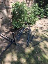 Open311 file from 2026-04-21 13:41:56