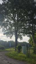 Open311 file from 2026-06-17 08:32:39