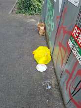 Open311 file from 2026-08-03 11:32:28