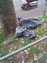 Open311 file from 2026-09-23 10:38:30