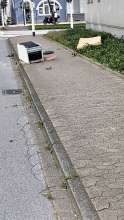 Open311 file from 2026-09-15 16:32:47
