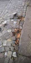 Open311 file from 2026-09-15 10:08:45