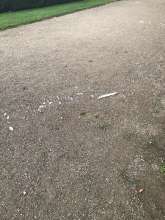 Open311 file from 2026-09-16 10:31:04