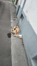 Open311 file from 2026-10-14 18:31:52